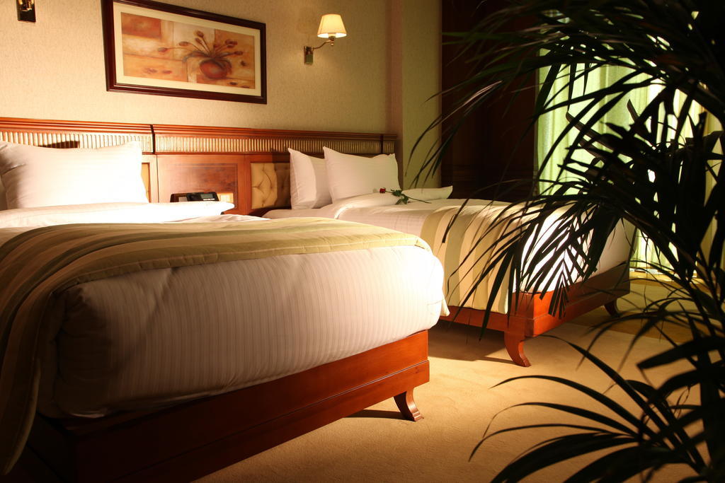 Helnan Landmark Hotel Cairo Quarto foto
